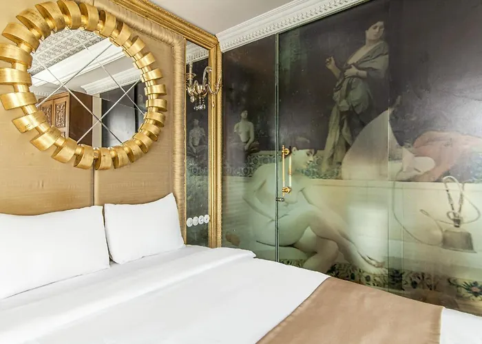 Sakine Hanim Mansion 伊斯坦布尔