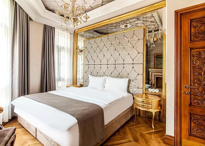 酒店 Sakine Hanim Mansion *