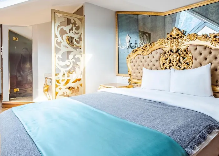 酒店 Sakine Hanim Mansion